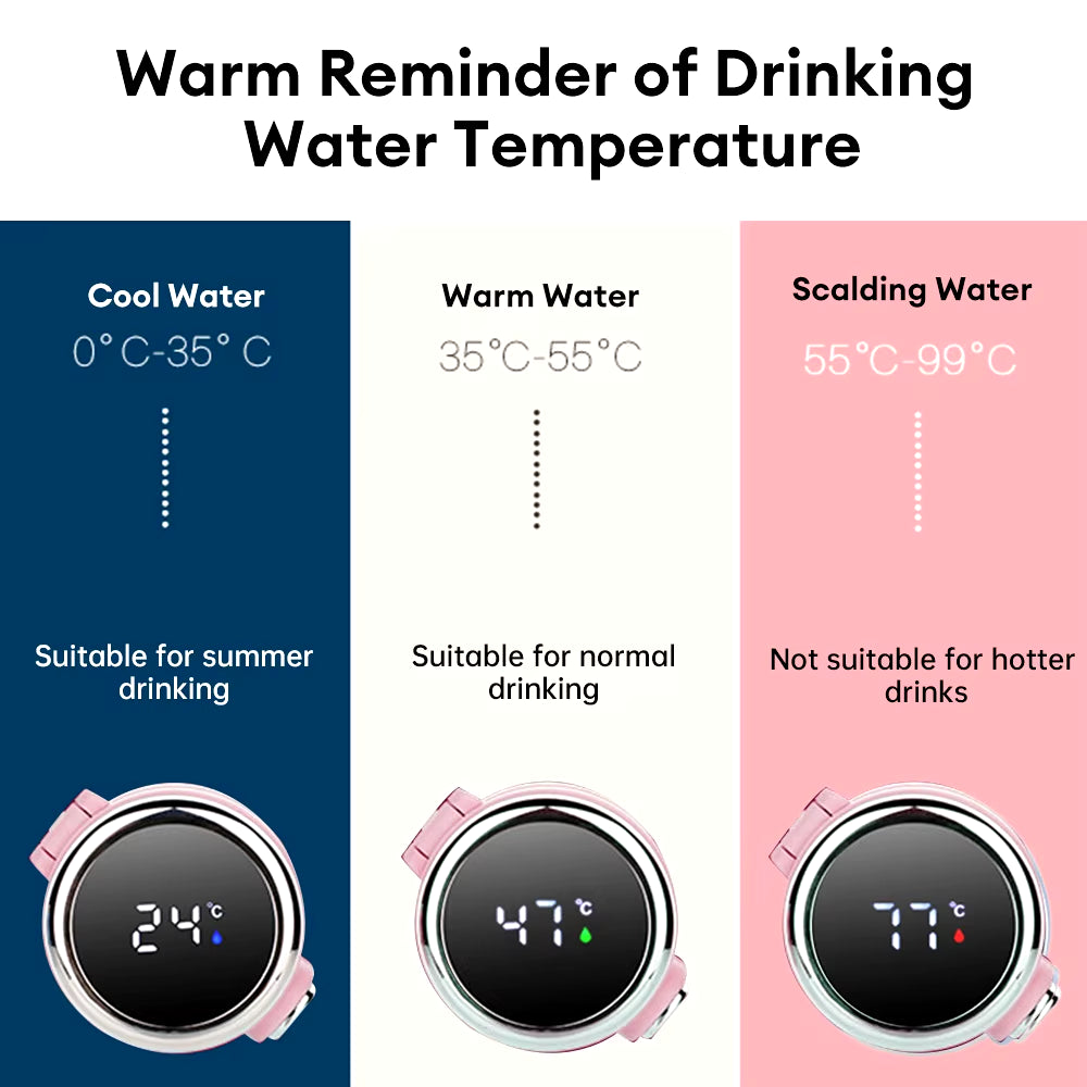 Led Digital Temperature Display Thermos Cup