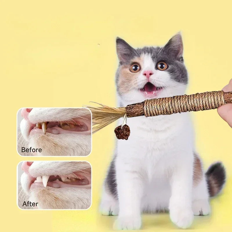 Cat Toys Cleaning Teeth Silvervine Chew Stick Pet Snacks Sticks Natural Stuff with Catnip for Kitten Catnip Teasing Chew Toys